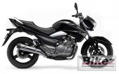 2012 Suzuki Inazuma 250 photo